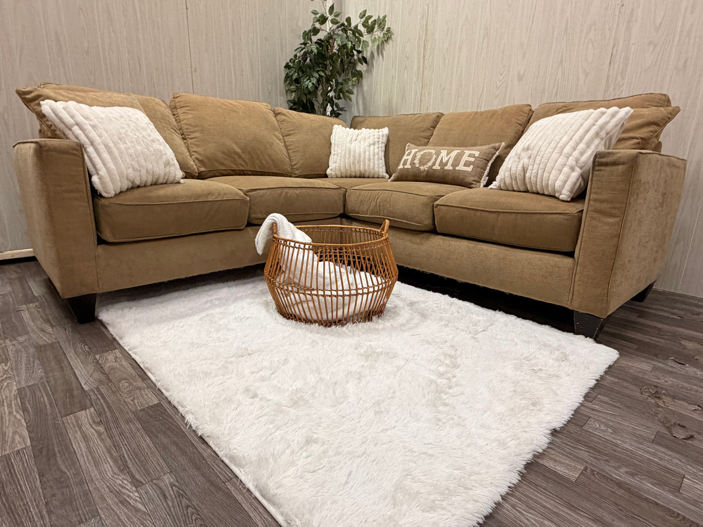 Beige Sectional Couch