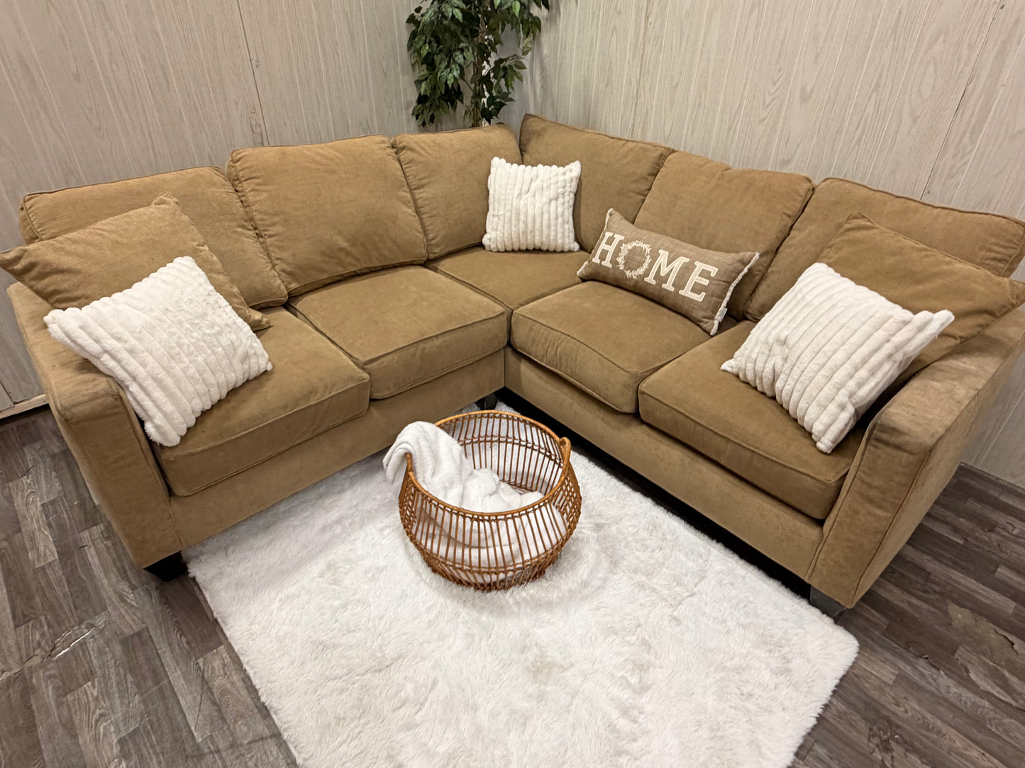 Beige Sectional Couch
